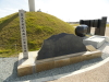 img0051.jpg