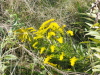 img0075.jpg