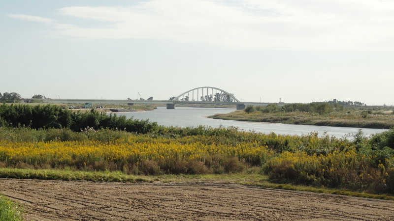 img0005.jpg