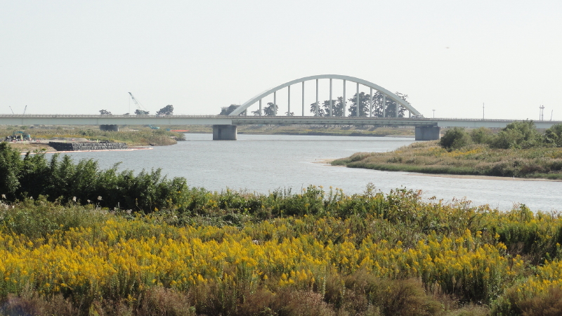 img0006.jpg
