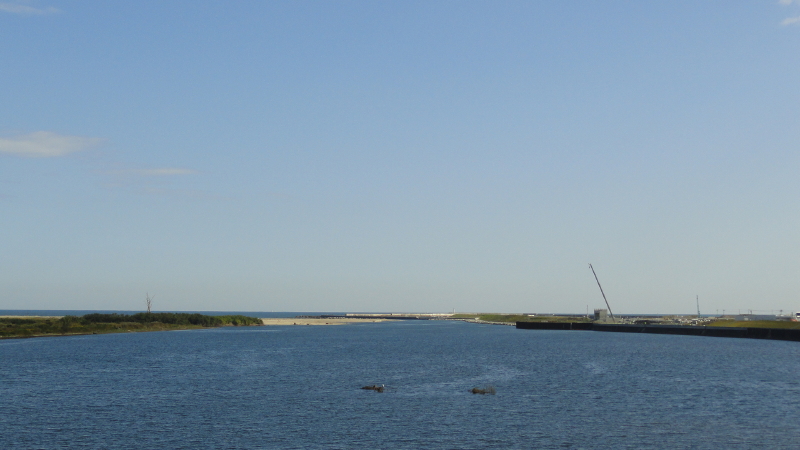 img0014.jpg