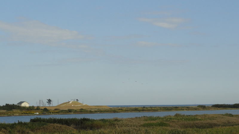 img0016.jpg
