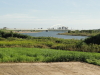 img0000.jpg