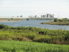 img0001.jpg
