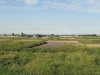 img0002.jpg