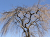 img0008.jpg