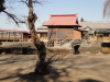 img0011.jpg