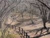 img0045.jpg