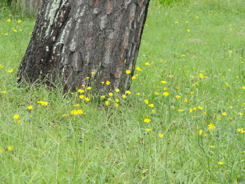 img0014.jpg