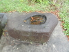 img0004.jpg