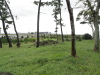 img0006.jpg