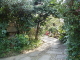 img0003.jpg