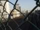 img0009.jpg