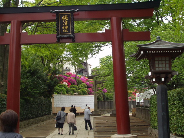 img0000.jpg