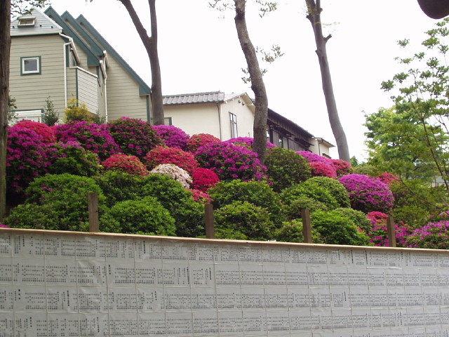 img0001.jpg