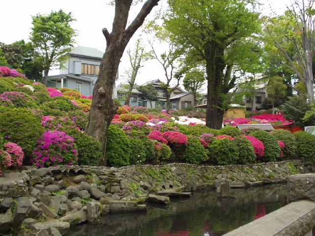 img0002.jpg