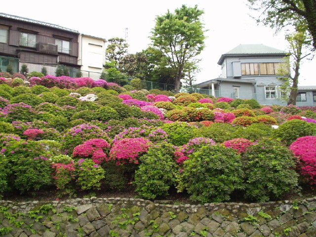 img0003.jpg