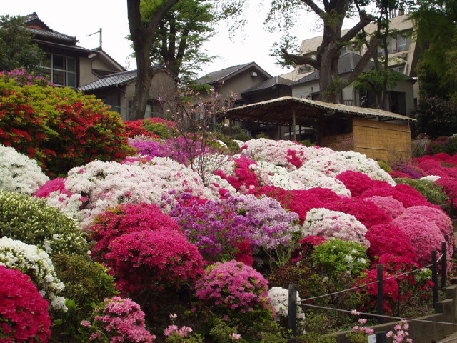 img0004.jpg