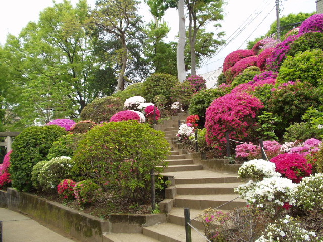img0006.jpg