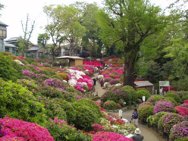 img0009.jpg