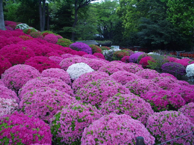 img0017.jpg