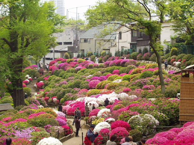 img0020.jpg