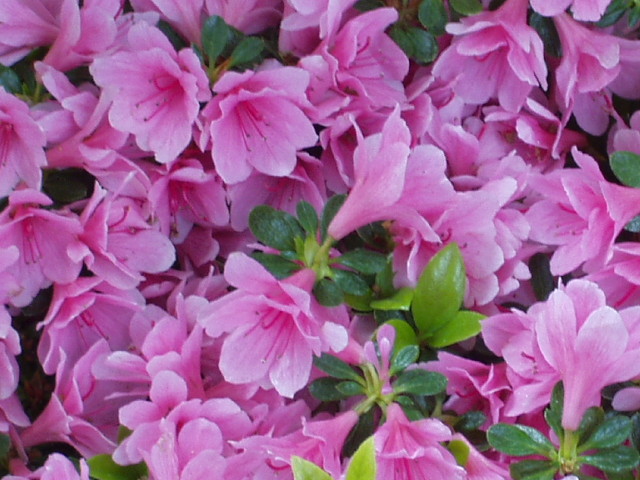 img0022.jpg
