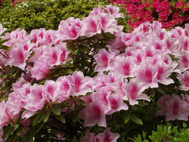 img0023.jpg