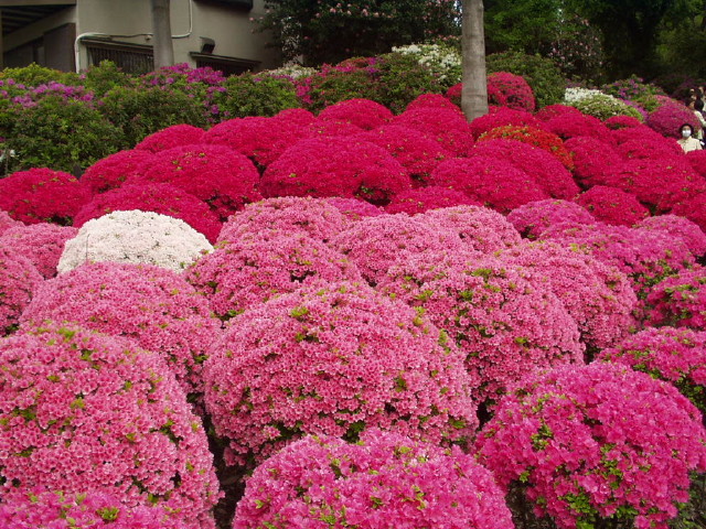 img0026.jpg
