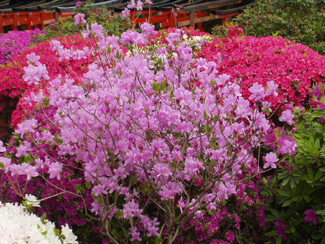 img0027.jpg