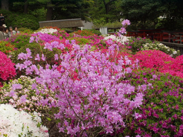 img0028.jpg