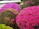 img0008.jpg