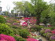 img0009.jpg