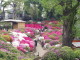 img0010.jpg