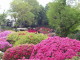img0013.jpg