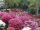 img0015.jpg