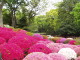 img0018.jpg