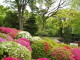img0019.jpg