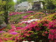 img0021.jpg
