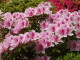 img0023.jpg