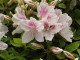 img0024.jpg