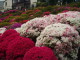 img0029.jpg