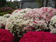 img0030.jpg