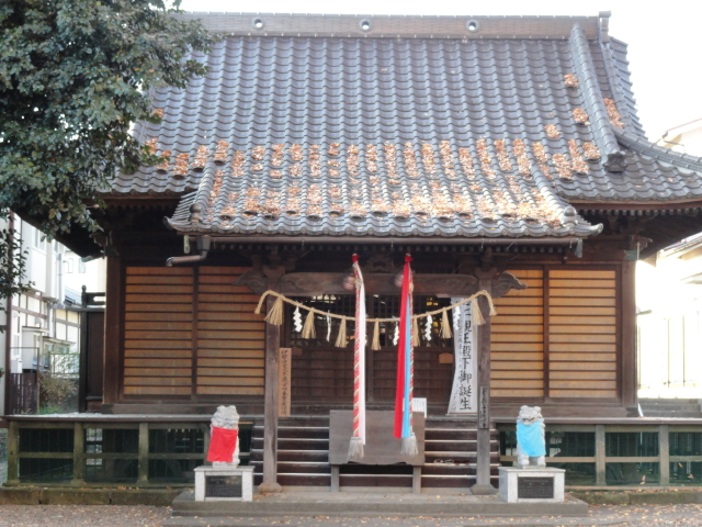 img0003.jpg