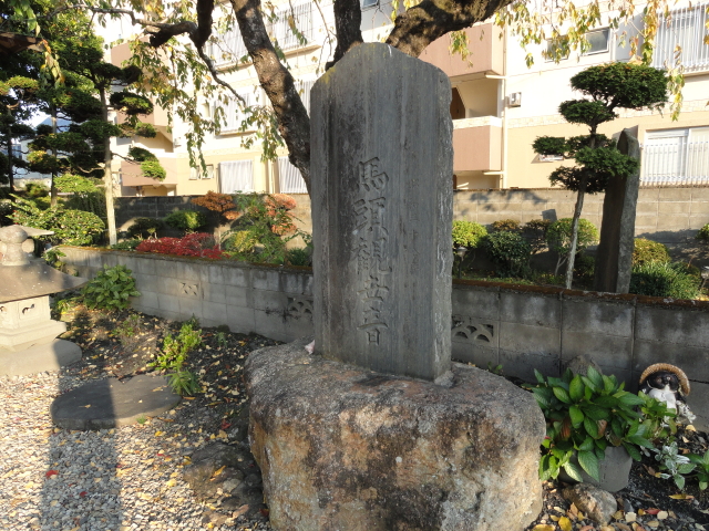 img0008.jpg