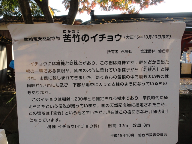 img0016.jpg