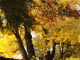 img0023.jpg
