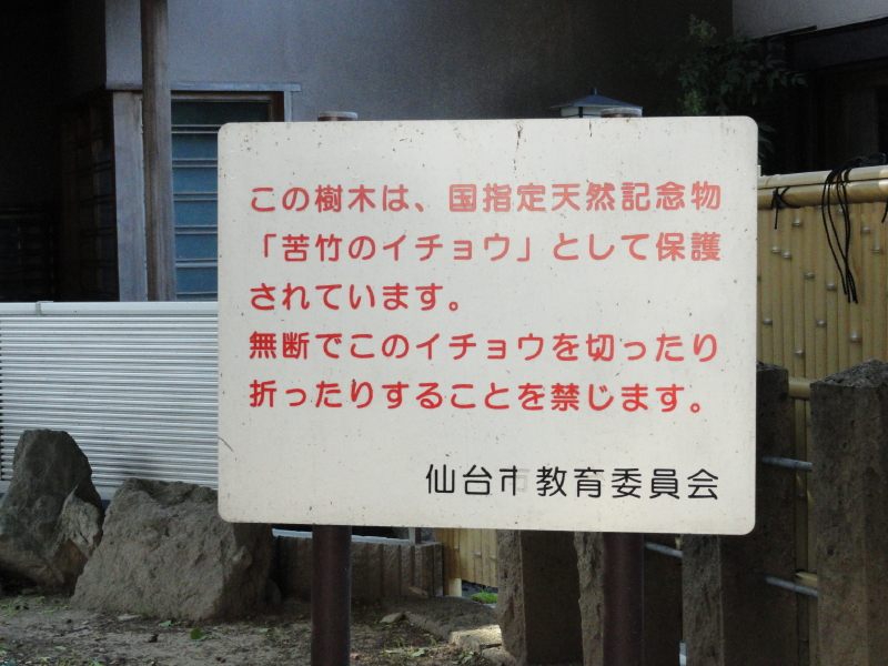 img0011.jpg