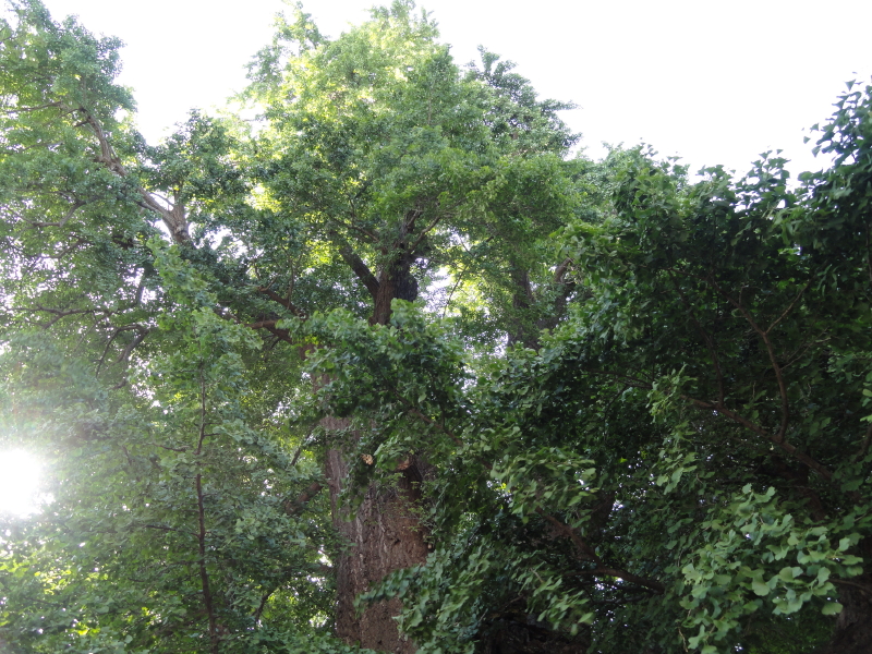 img0020.jpg