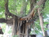 img0016.jpg